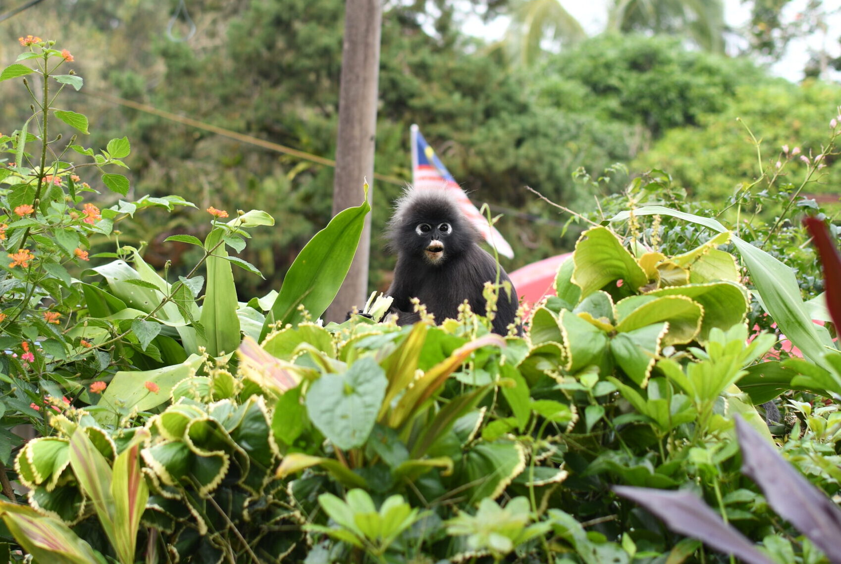Malaysia: From Mosque till Om